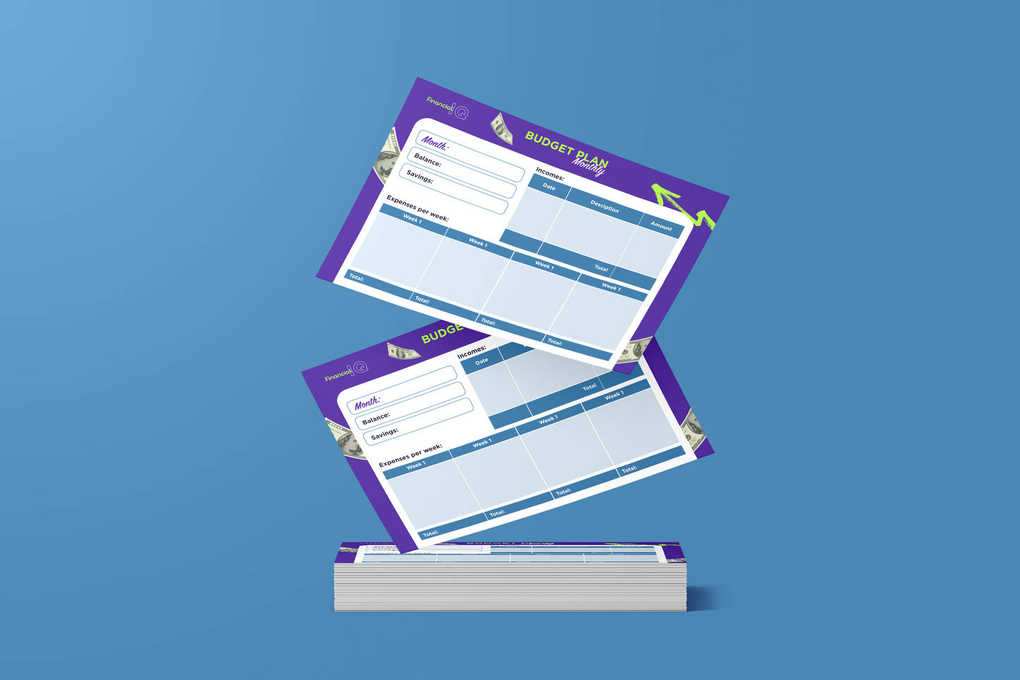 Financial IQ Budget Plan (Free Gift)